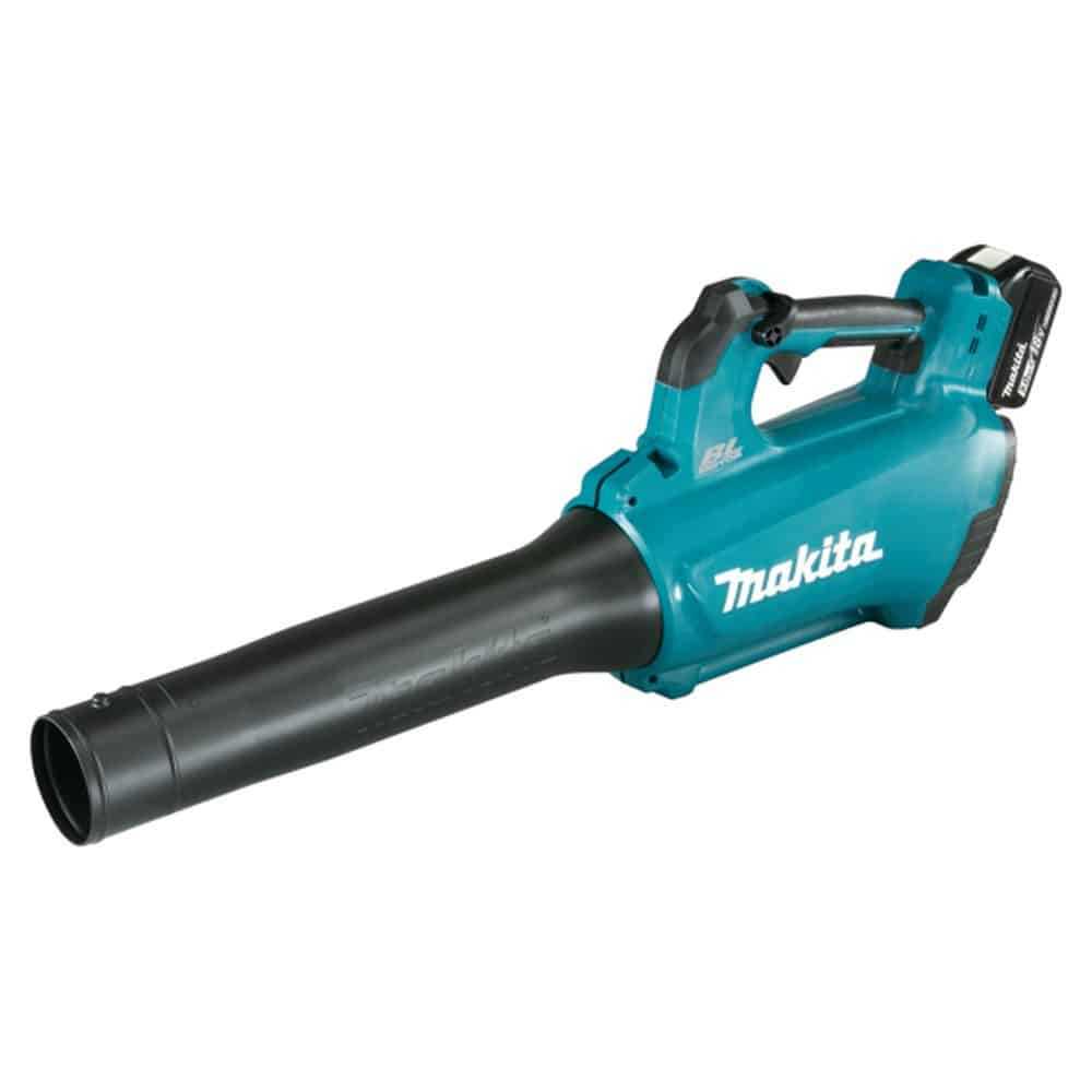 Makita blower and battery hotsell