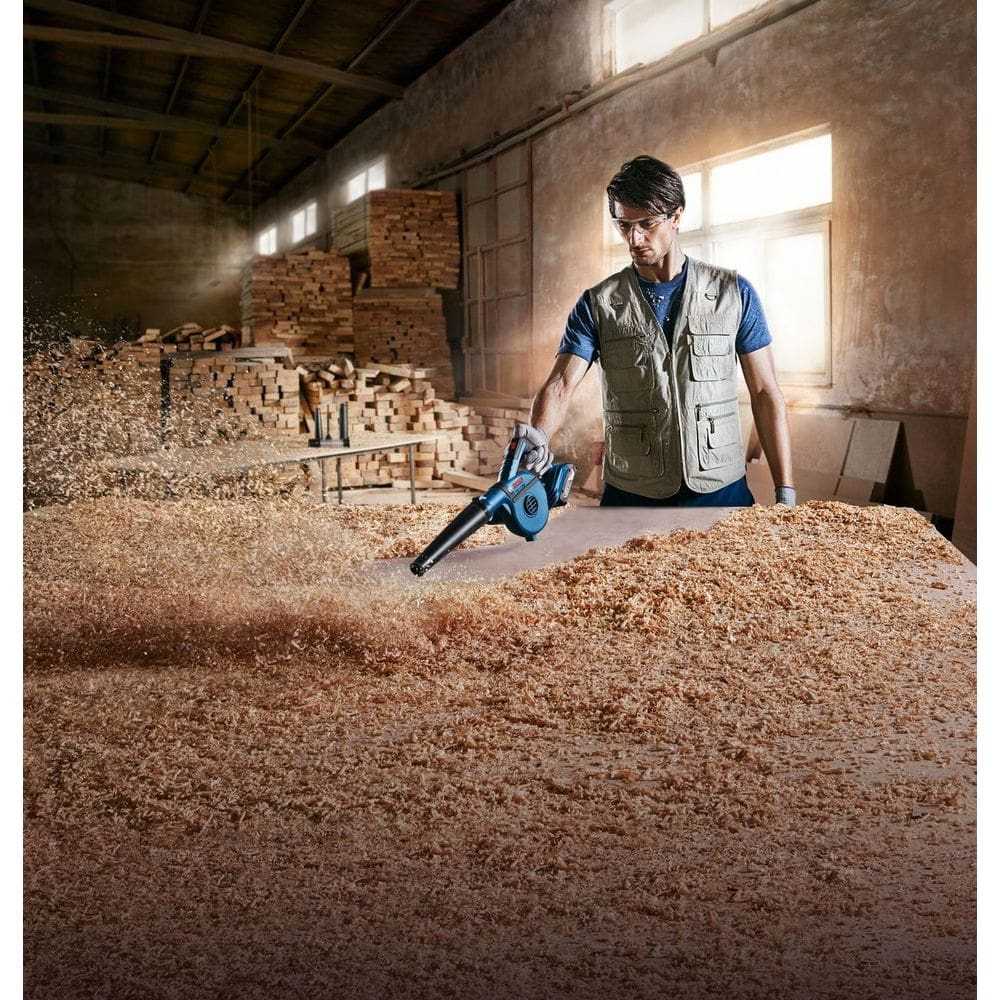 Bosch GBL 18 V-LI